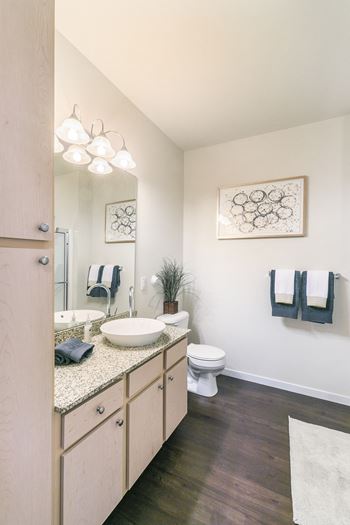 Bathrooms with Raised Bowl Sinks at Aventura at Forest Park, St. Louis, MO 63110