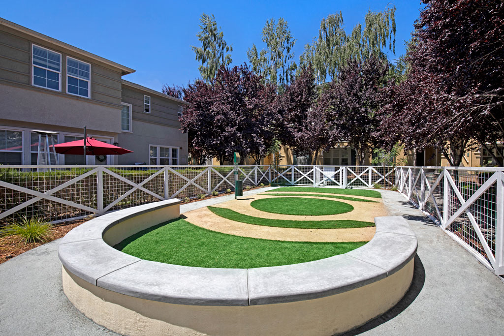 Saratoga Downs At Sheveland Ranch