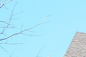 Spinnaker Crest