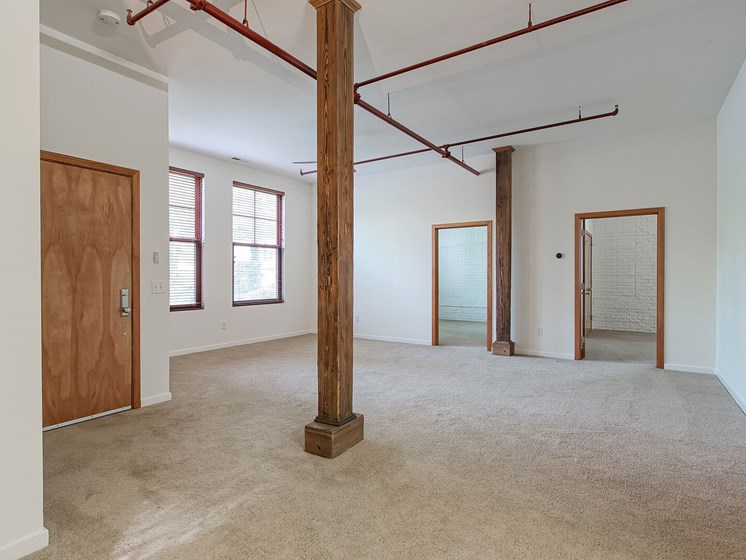 Vaulted Ceilings