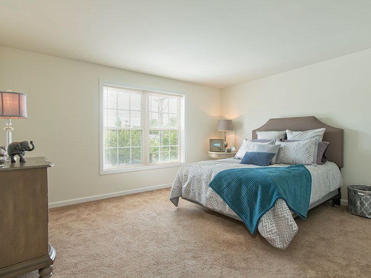 Light-Filled Rooms