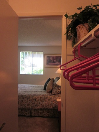 Interior View from Bedroom - One (1) Bedroom Walk-in Closet