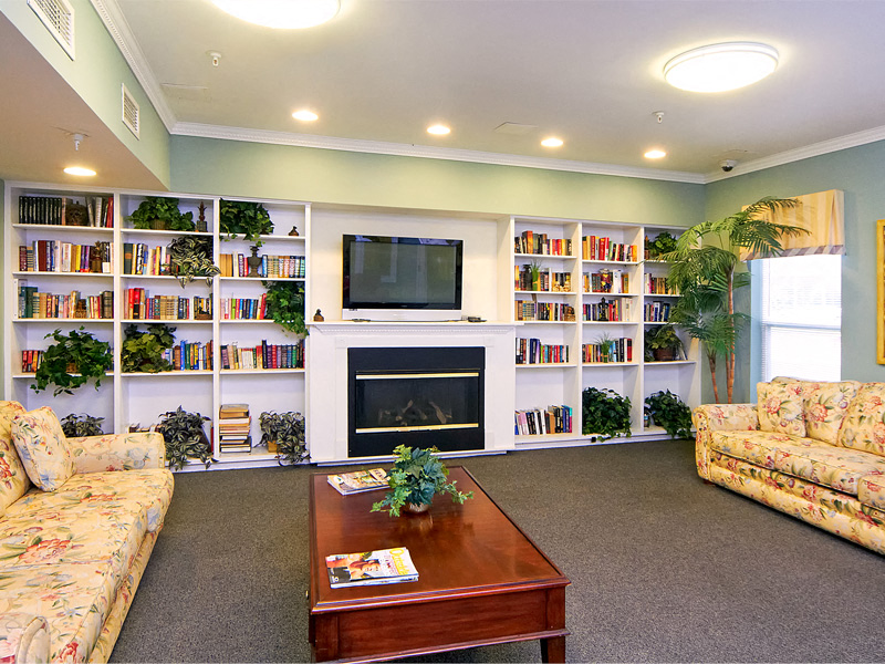 a living room with a fireplace and book shelves