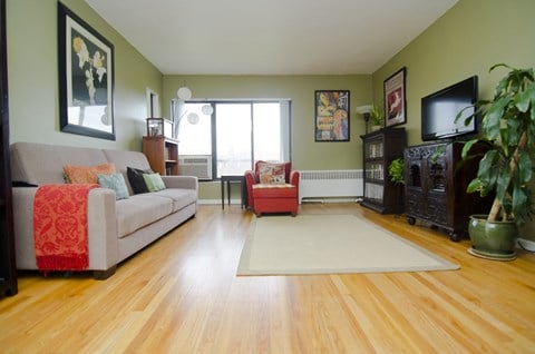 a living room with green walls and a white rug