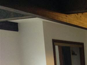 926 Downer Ave. Studio-4 Beds Apartment, Condo, Loft, Student for Rent - Photo Gallery 2