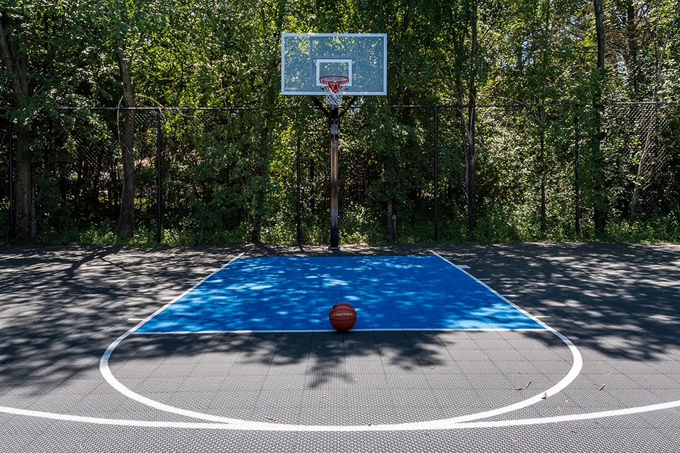 outdoor full size basketball hoop with ball