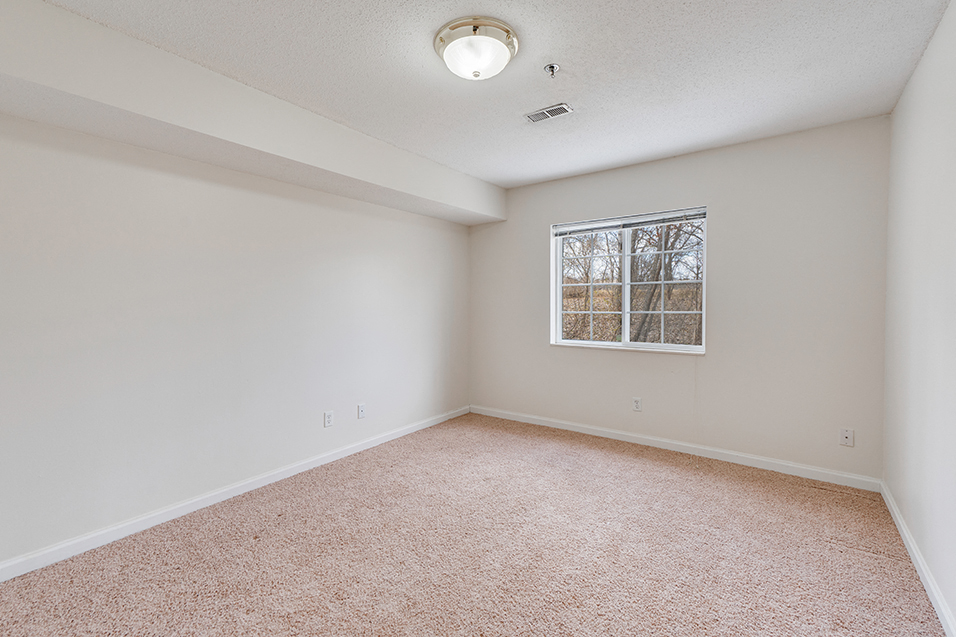 empty bedroom with carpets and a window