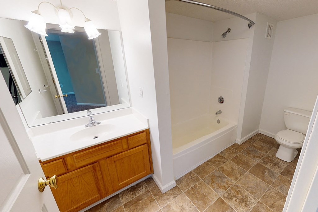 a bathroom with a sink and a toilet and a tub