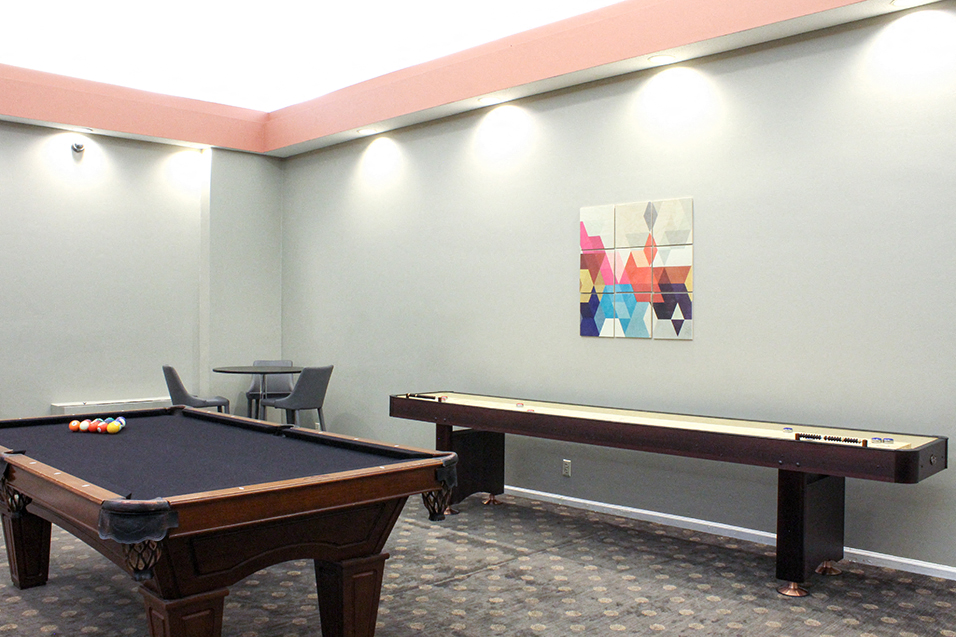 Game room with a black pool table
