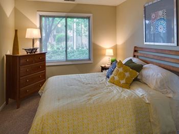 Window coverings provided