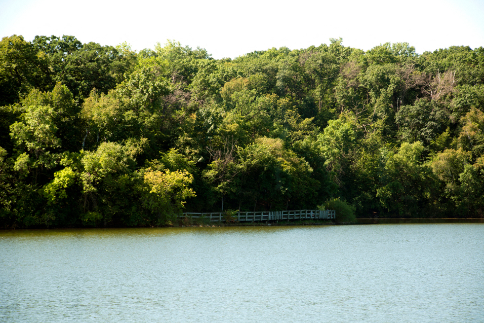 lake with trees on the other side