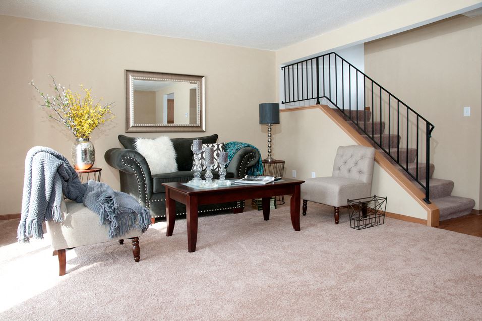 Carver Lake Townhomes photo