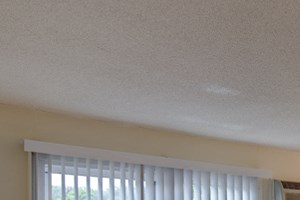 Empty carpeted living room - Photo Gallery 4