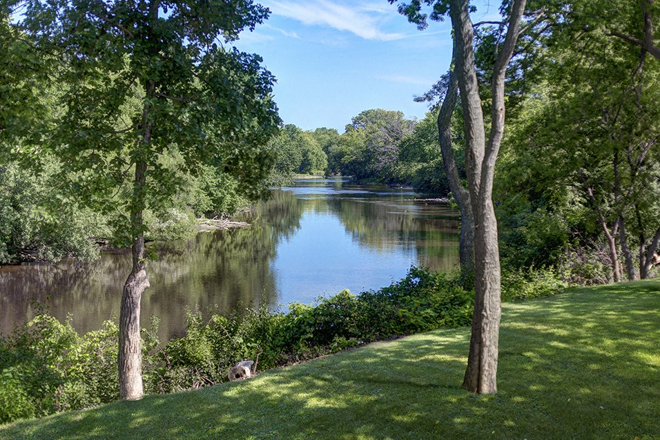 a view of a body of water with trees