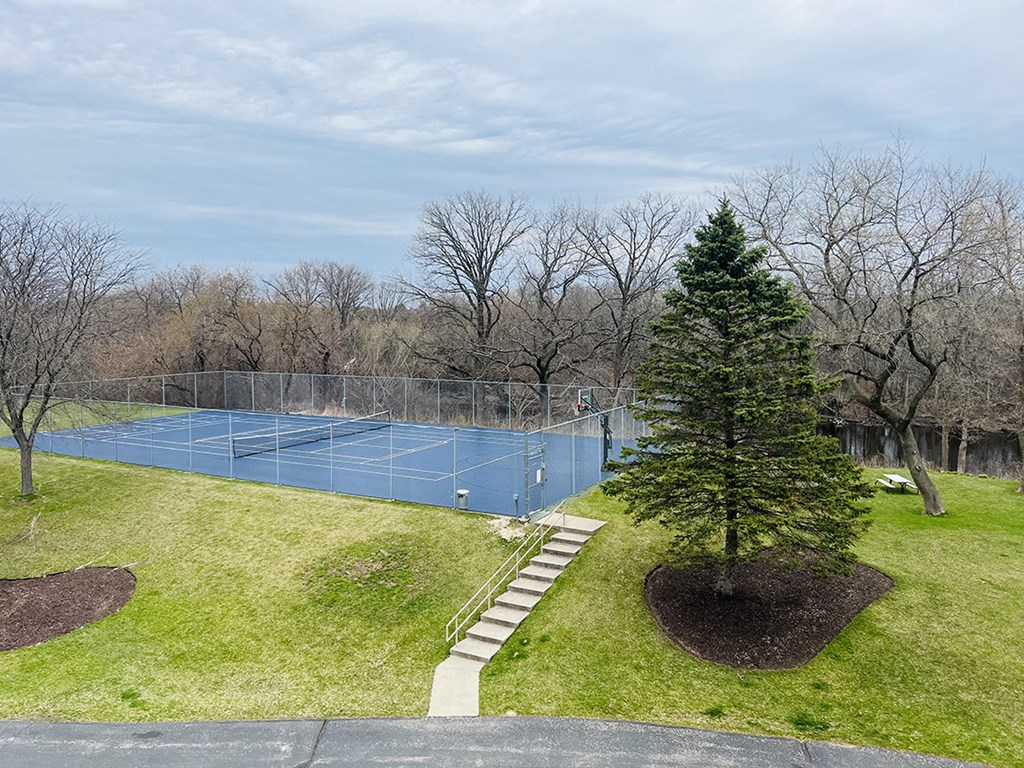 a tennis court in a park with a tree