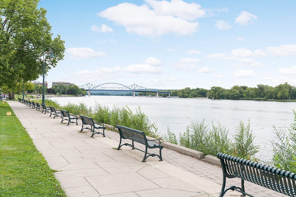 Park benches up and down the side of the river