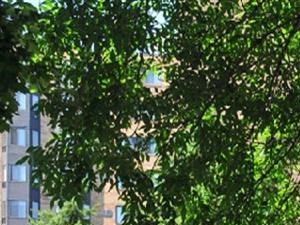 Outside of apartment building with a park bench underneath a tree's shade - Photo Gallery 2
