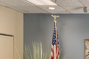 Community room with chairs facing a television, plants on side tables, art on the wall, and an American flag in the corner