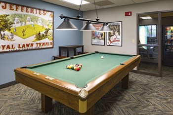 Rec room with a pool table - Photo Gallery 10