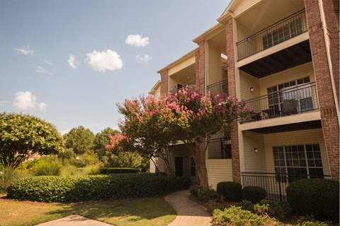 an apartment building with a pink flowering tree in the yard