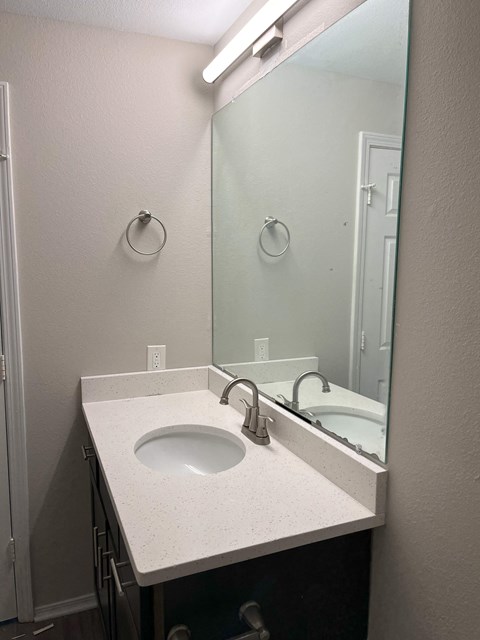 a bathroom with a sink and a large mirror