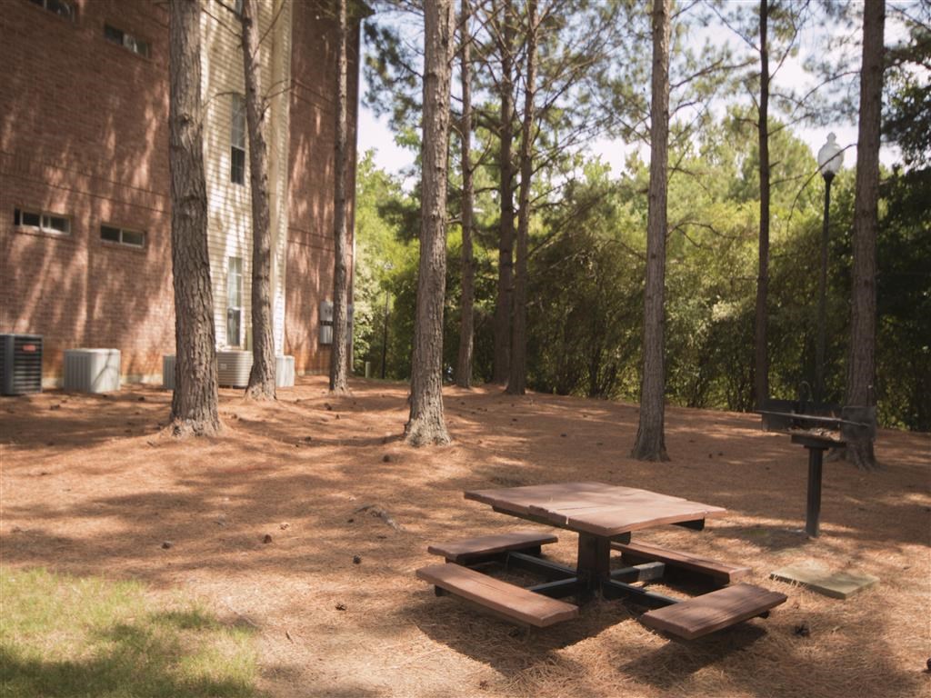a picnic table in front of a building in the woods