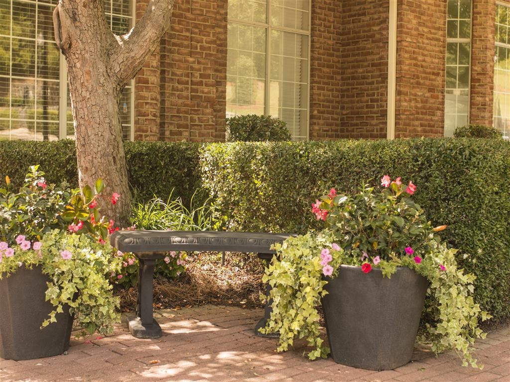 a bench sitting in front of a building with flowers