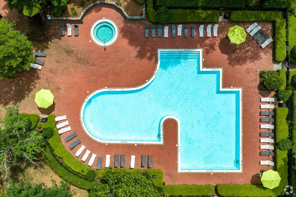 an aerial view of a swimming pool in a garden with trees