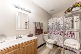 a bathroom with a shower toilet and a sink