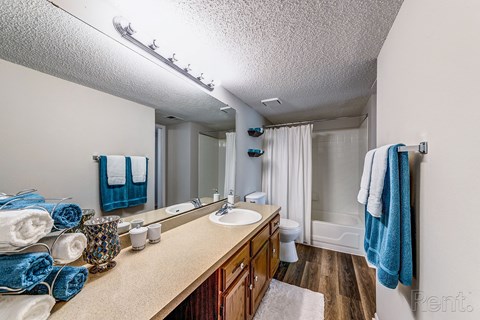 a bathroom with a sink and a mirror and a shower