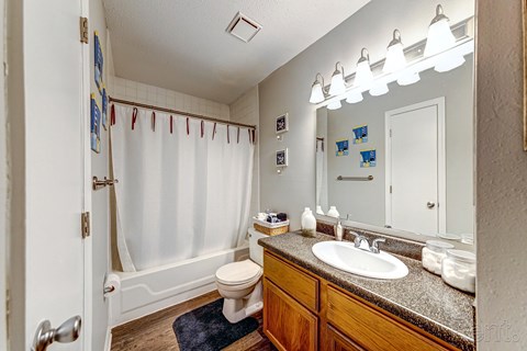 a bathroom with a sink and a toilet and a shower