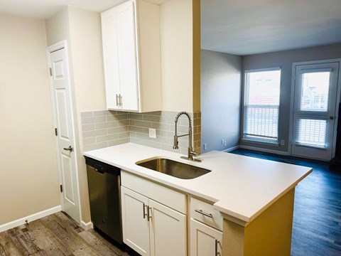 A kitchen with a sink and a dishwasher.
