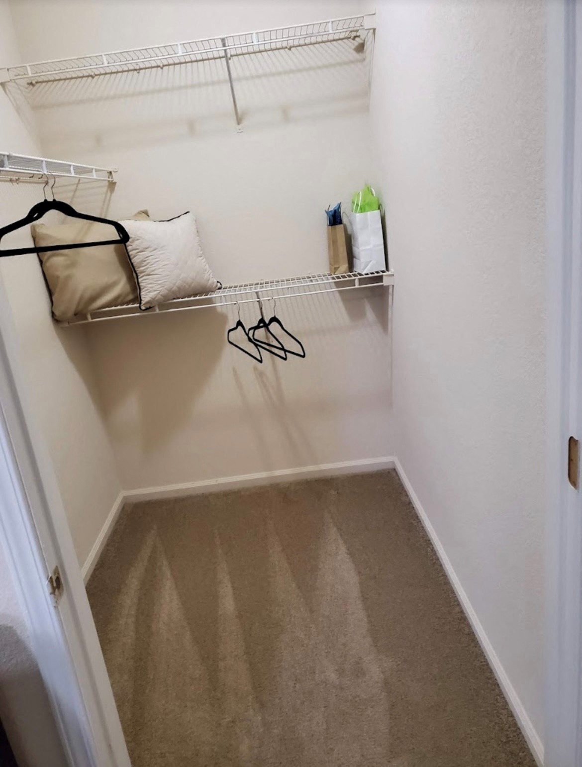 a walk in closet with a carpeted floor and a shelf with bags and shoes