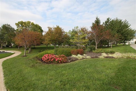a park with grass and trees and flowers