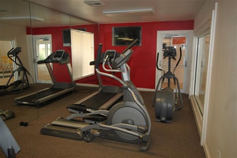 the gym has a lot of exercise equipment in it