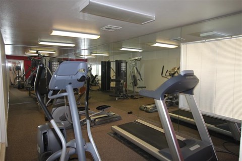 a gym with a lot of exercise equipment in it