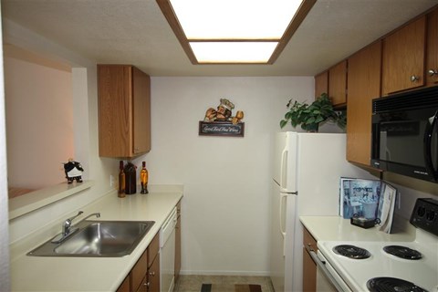 a kitchen with a stove and a sink and a refrigerator