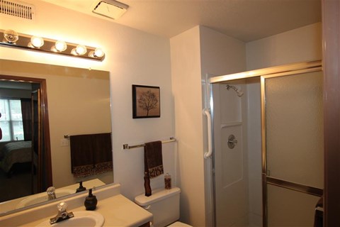 a bathroom with a sink and a shower and a mirror