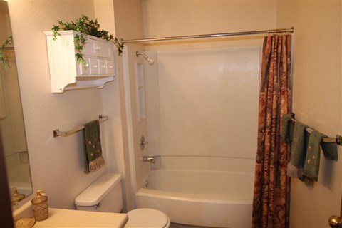 a white bathroom with a shower and a toilet