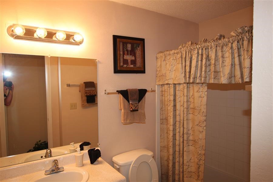 a bathroom with a toilet and a sink and a mirror