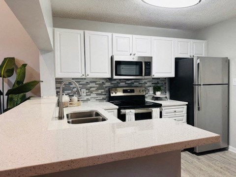 a kitchen with a sink and a stove and a refrigerator