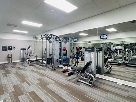 the gym is equipped with a variety of exercise equipment