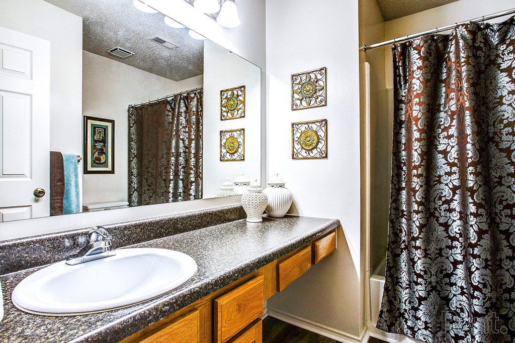 a bathroom with a sink and a mirror