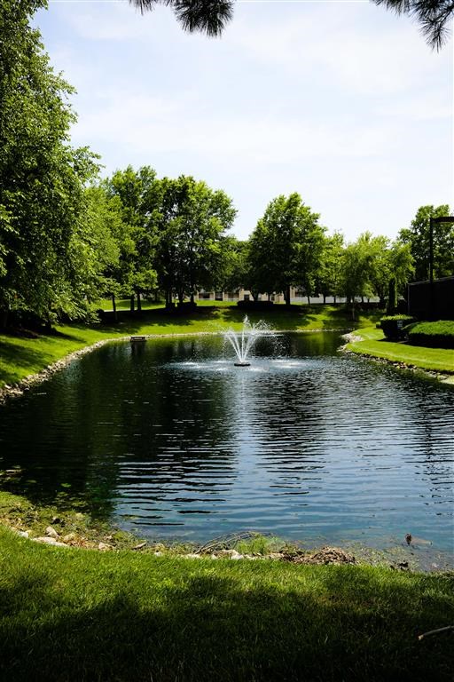 a fountain in the middle of a pond