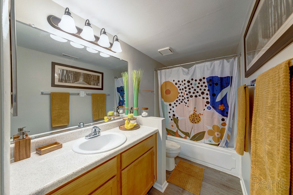 a bathroom with a sink and a shower and a toilet