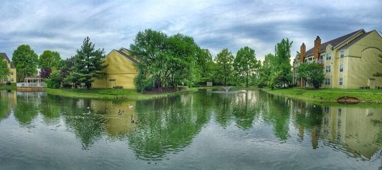 a body of water with buildings and trees around it