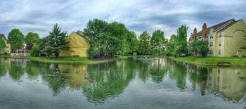 100 Winchester Place 1-2 Beds Apartment for Rent - Photo Gallery 3