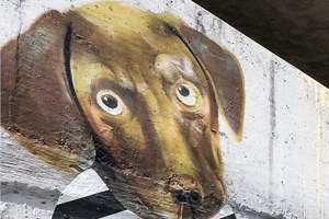 Burnet Flats Pet Park Burnet Flats Pet Park - Photo Gallery 3