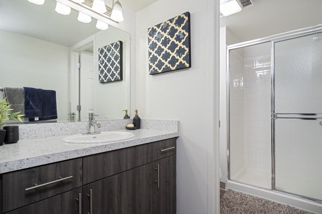 a bathroom with a sink and a shower and a mirror