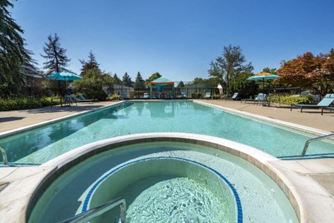 a swimming pool with a hot tub and trees in the background